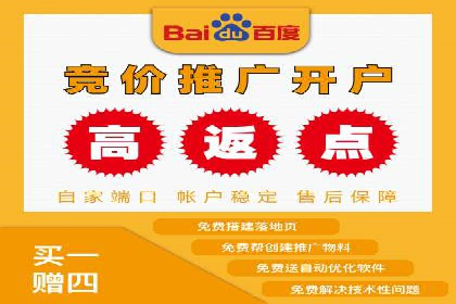 百度竞价广告运营的技巧与误区：成功案例解析